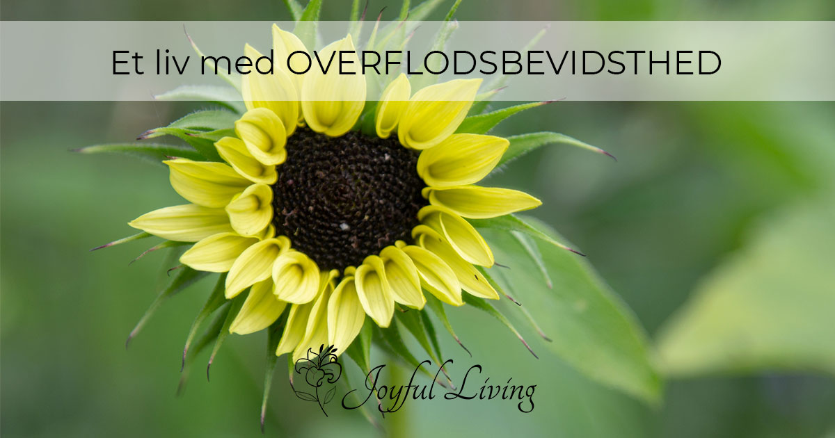 liv-med-overflodsbevidsthed Et liv med overflodsbevidsthed