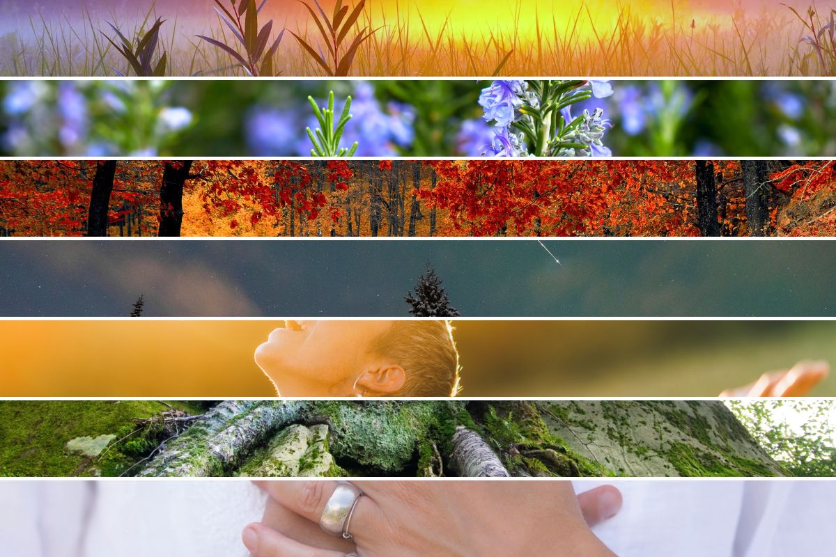 Forbind dig med de 7 retninger