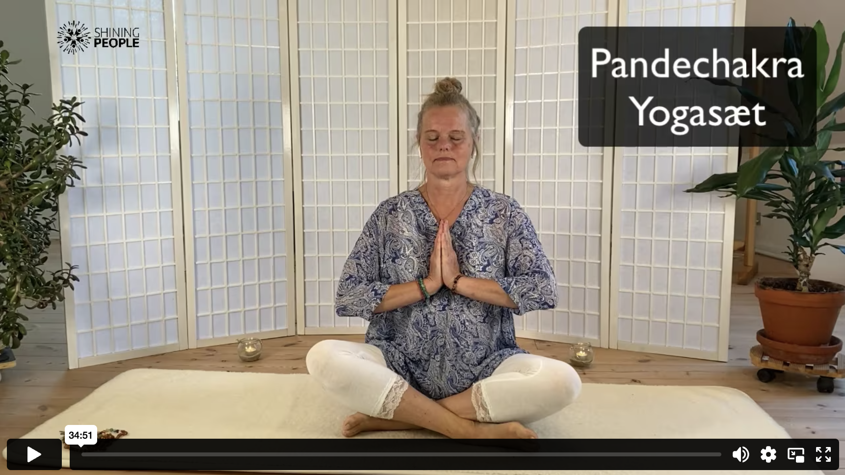 Pandechakra yoga video