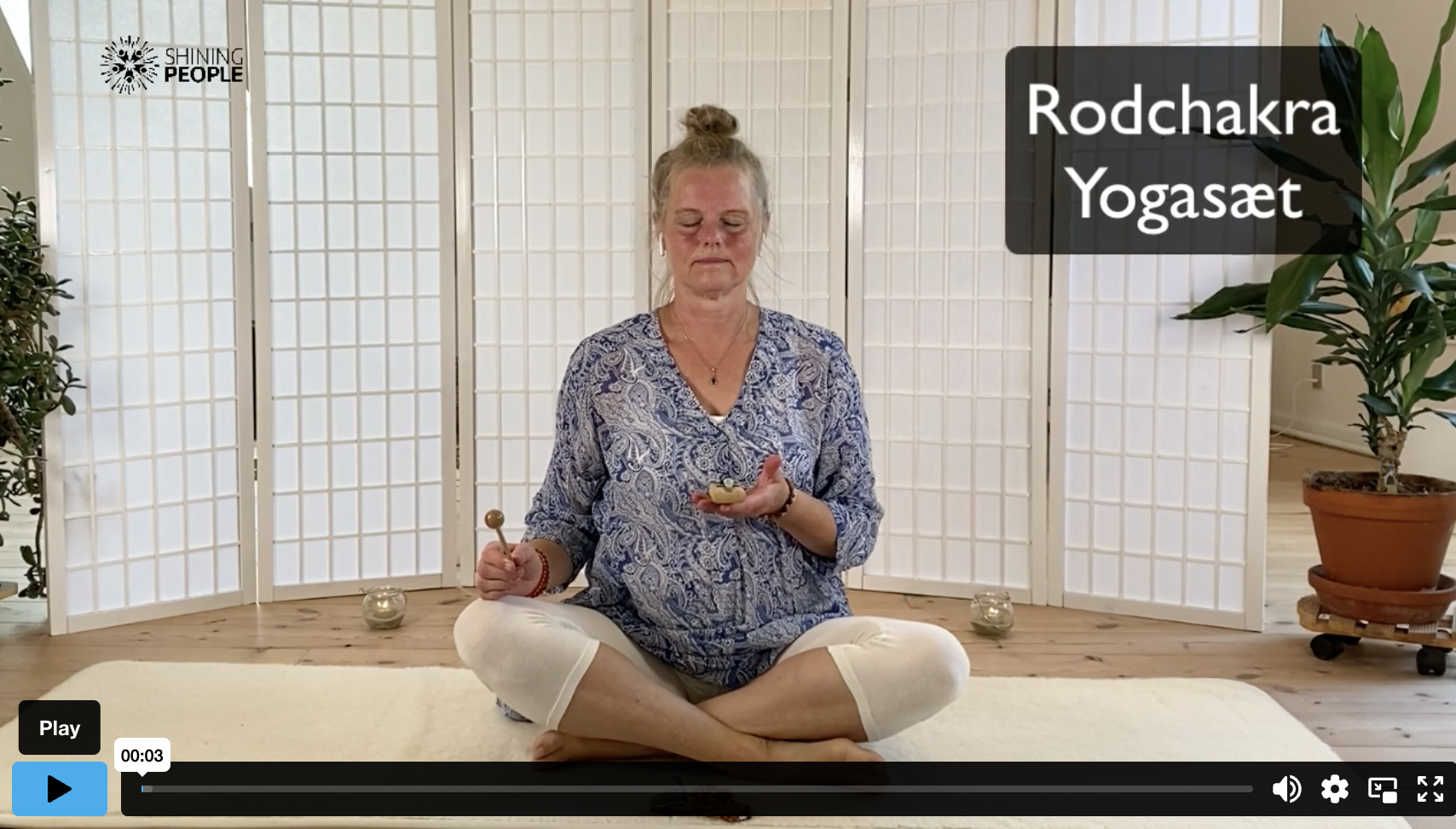 Rodchakra yoga video