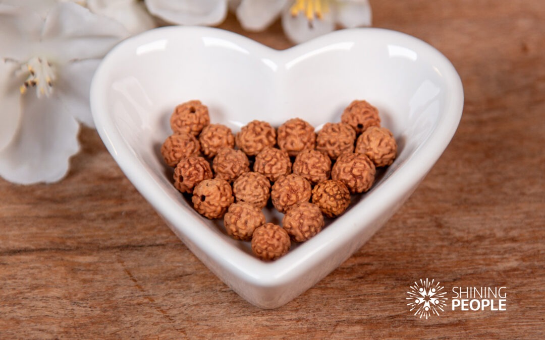 Rudraksha – beskyttelse